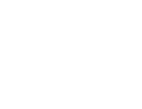 Portland Engenharia